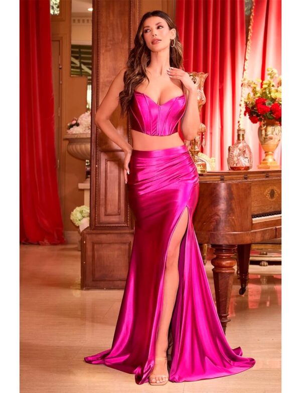 CDS493